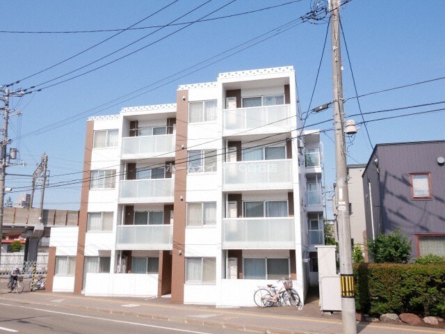 11381213/外観